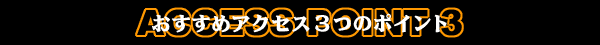 �������߃A�N�Z�X3�̃|�C���g