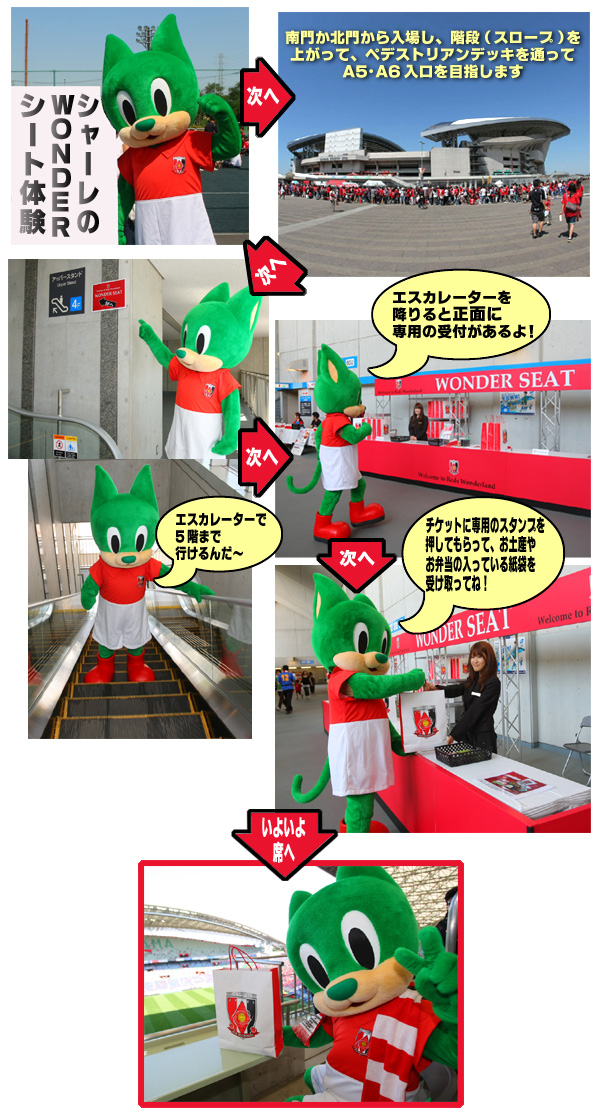 �V���[������́uWONDER�V�[�g�v�̌�