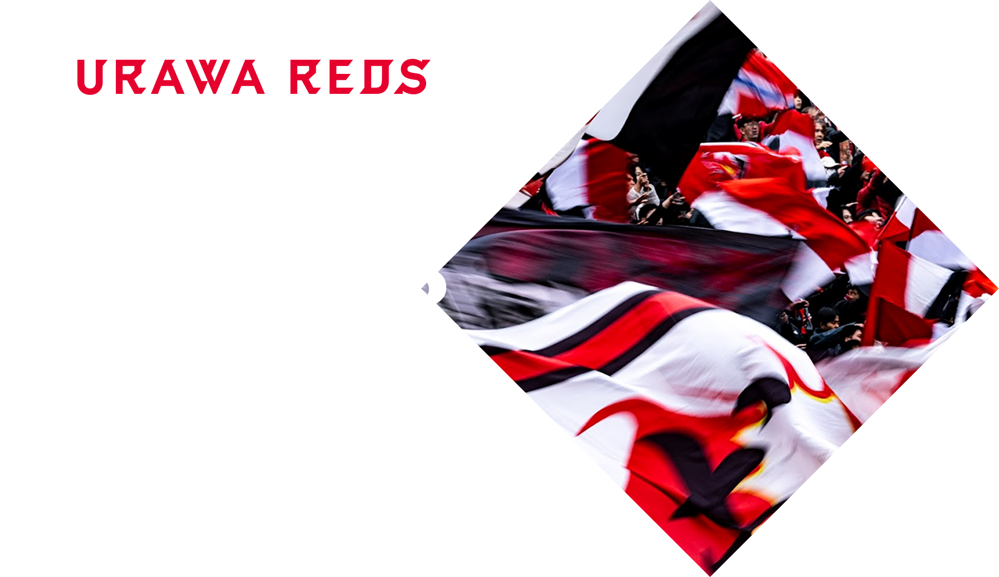 REX CLUB