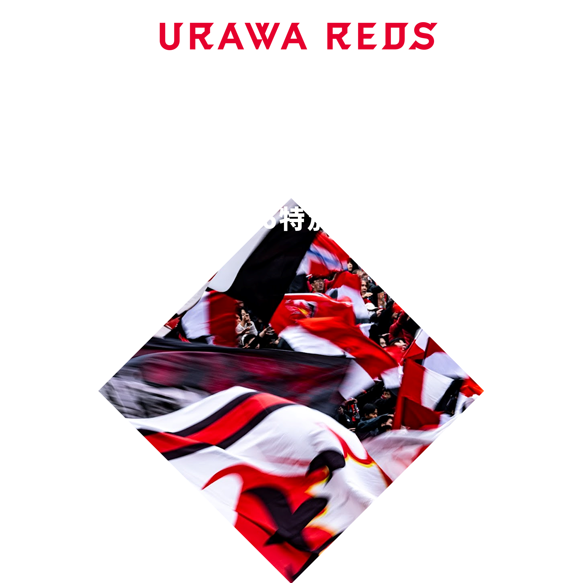 REX CLUB