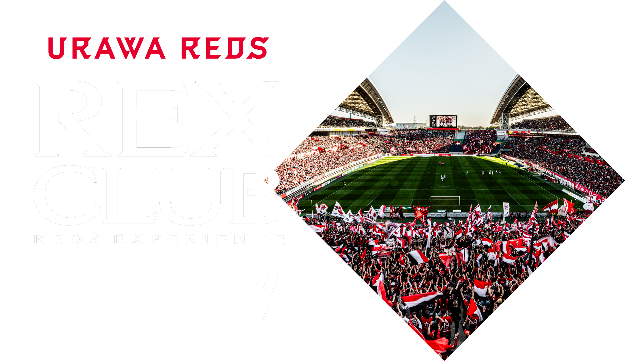 REX CLUB