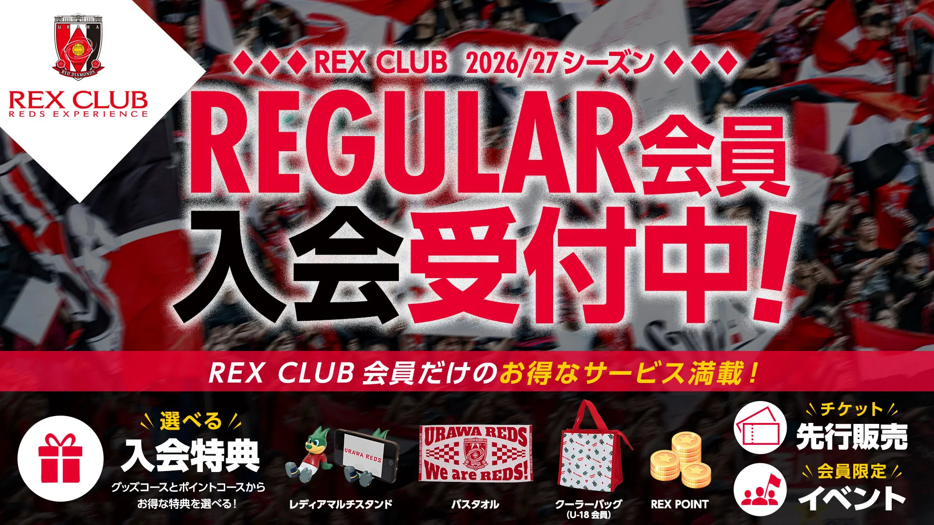 REX CLUB REGULAR Membership Now Accepting Applications