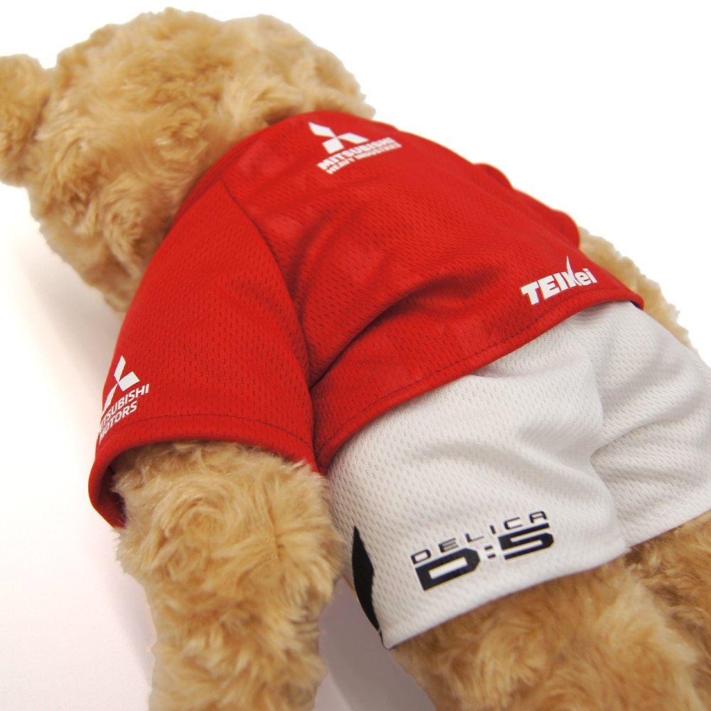 Teddybear2026_4