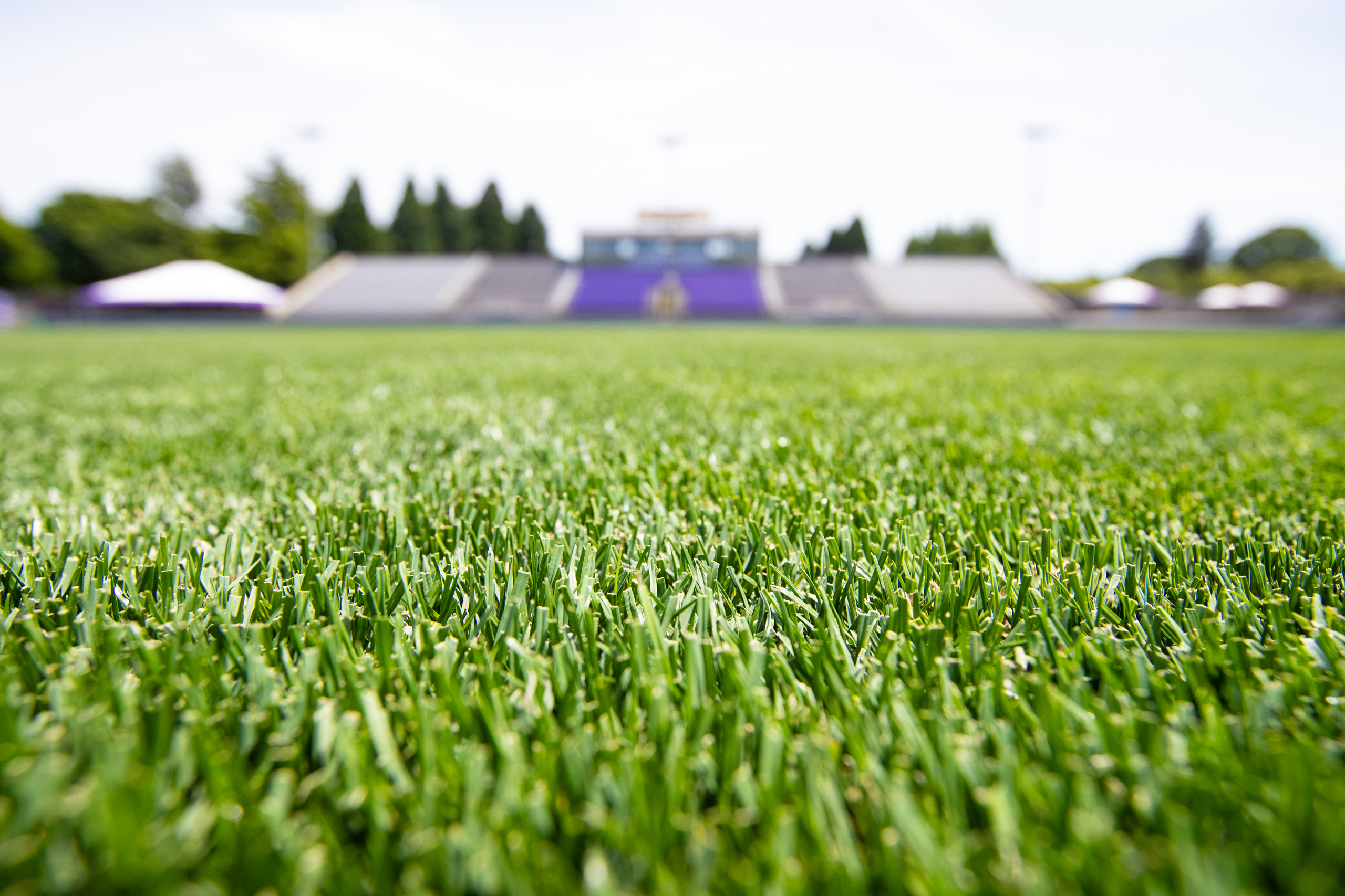 Day 2 in the U.S. - Training