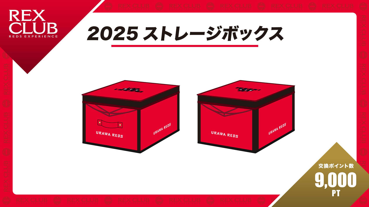 2025 ストレージボックス