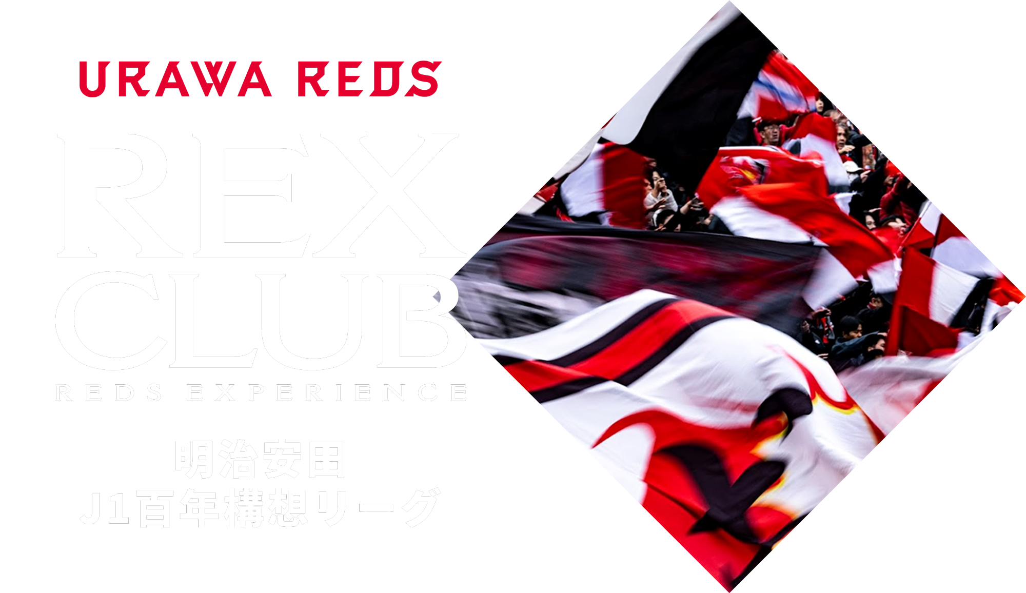 REX CLUB