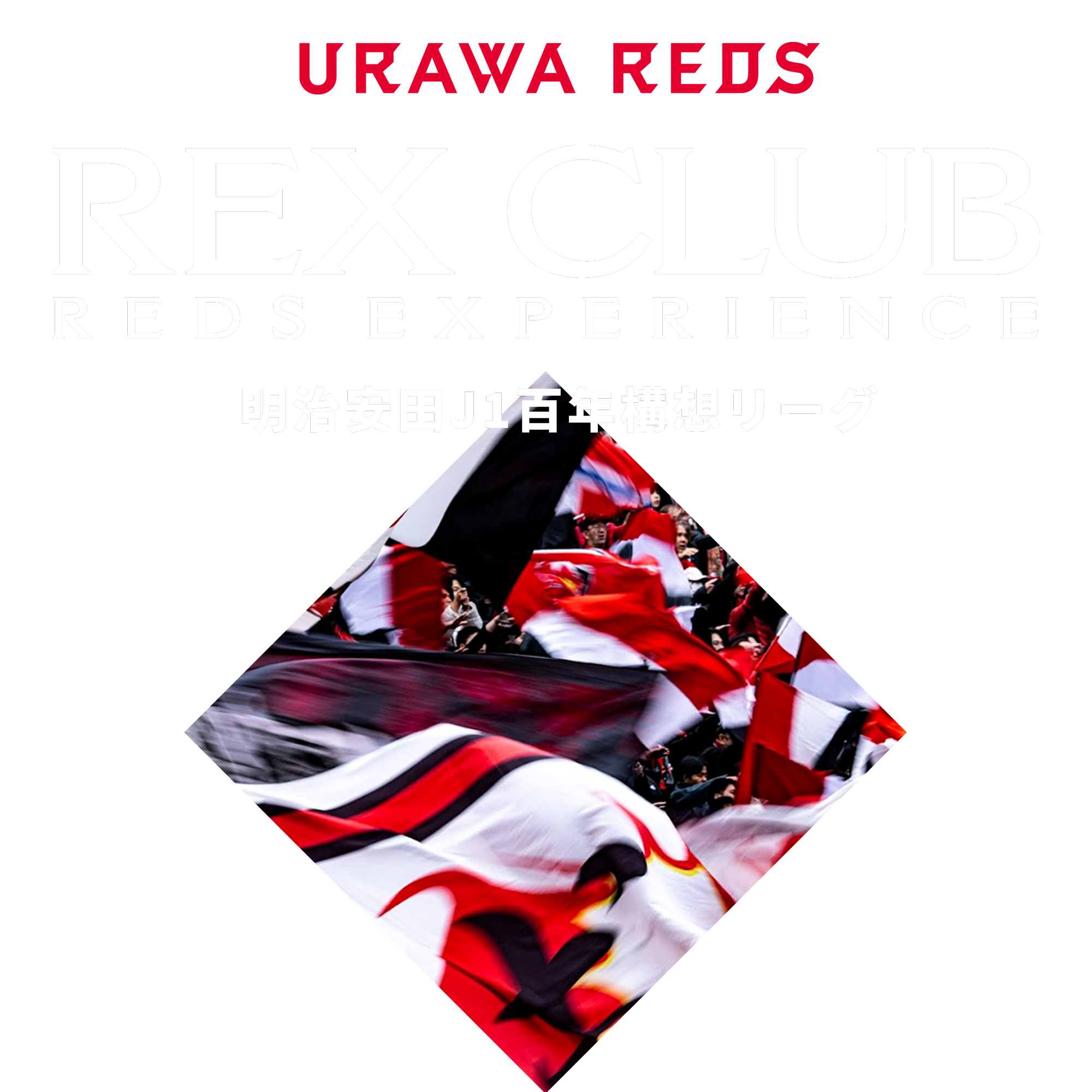 REX CLUB