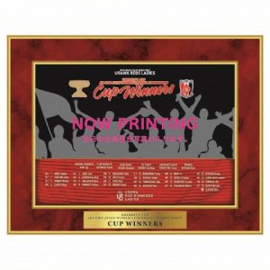 三菱重工浦和レッズレディース | URAWA RED DIAMONDS LADIES