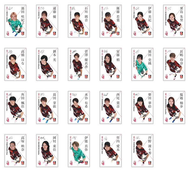 早い者勝ち！　鉄道グッズ（メンコ・カードなど） JAPANステッカー 歌舞伎 Mサイズ 日本 お土産 グッズ 和風 観光