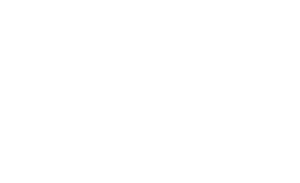 SILVER 1,000pt
