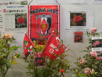 「Reds Rose」が展示