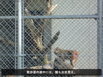 指宿キャンプ第3日フォトレポート
