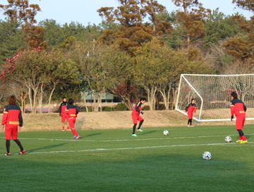 宮崎トレーニングキャンプ、スタート