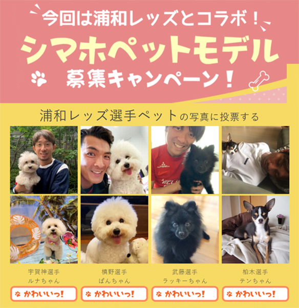 浦和レッズ選手も参加 島忠ペットモデルキャンペーン開催 Urawa Red Diamonds Official Website 浦和レッズ選手も参加 島忠ペットモデルキャンペーン開催 Urawa Red Diamonds Official Website
