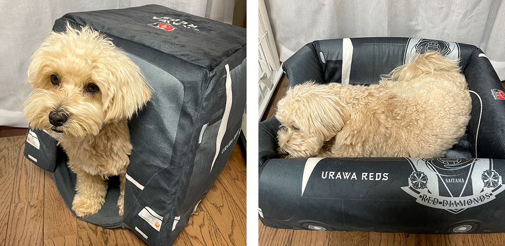 4/15(金)18時から新商品発売! | URAWA RED DIAMONDS OFFICIAL WEBSITE