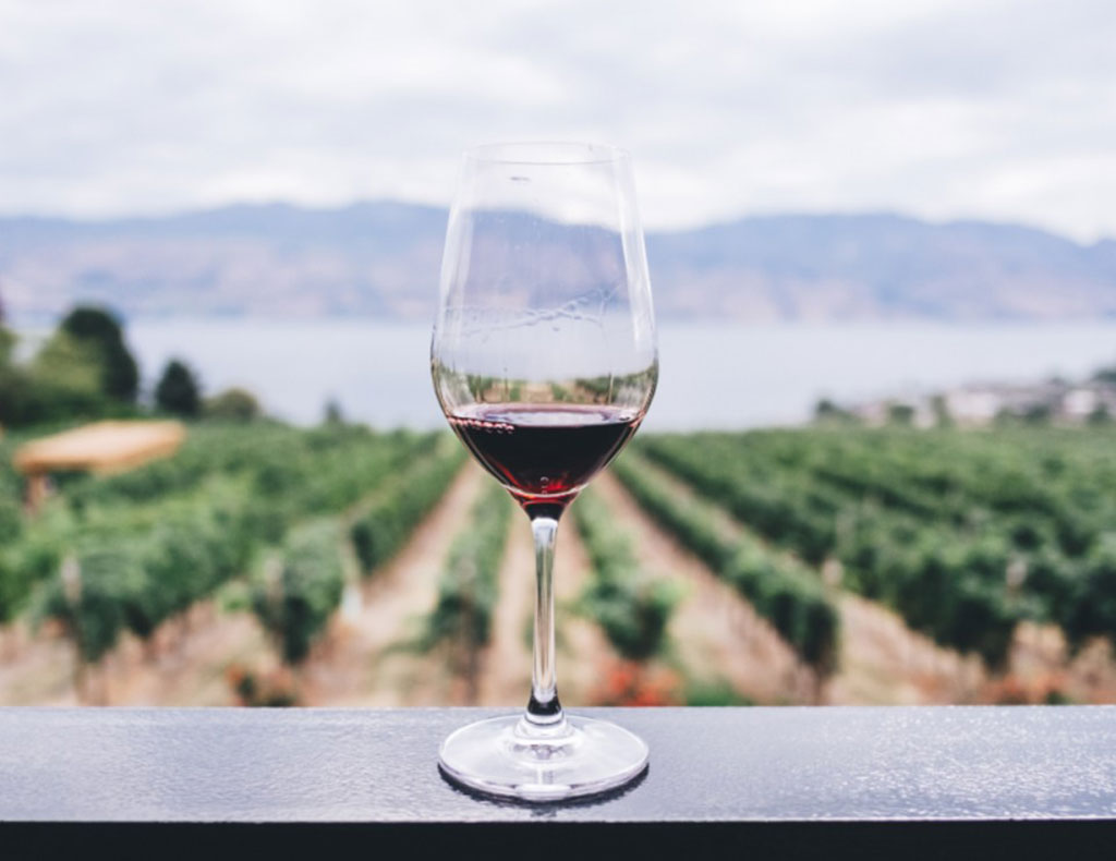 Red KITCHEN『南アフリカワイン』